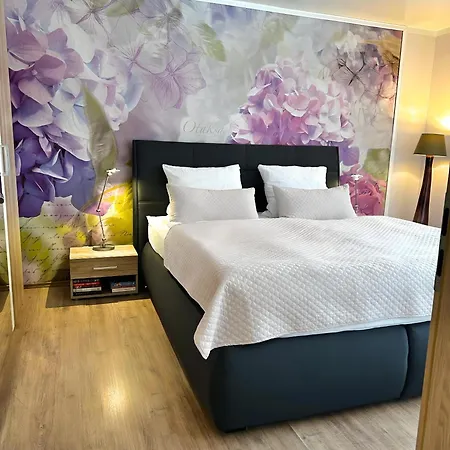 Wellness Szymecki- Sauna & Whirpool Bei Heidelberg Διαμέρισμα Schonau (Rhein-Neckar-Kreis)